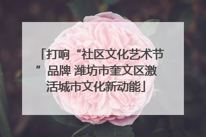 打响“社区文化艺术节”品牌 潍坊市奎文区激活城市文化新动能